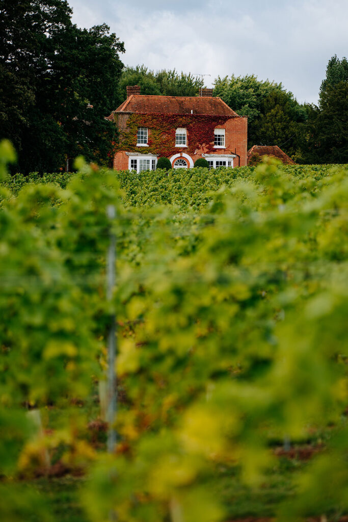 The Missing Gate Vineyard nearby