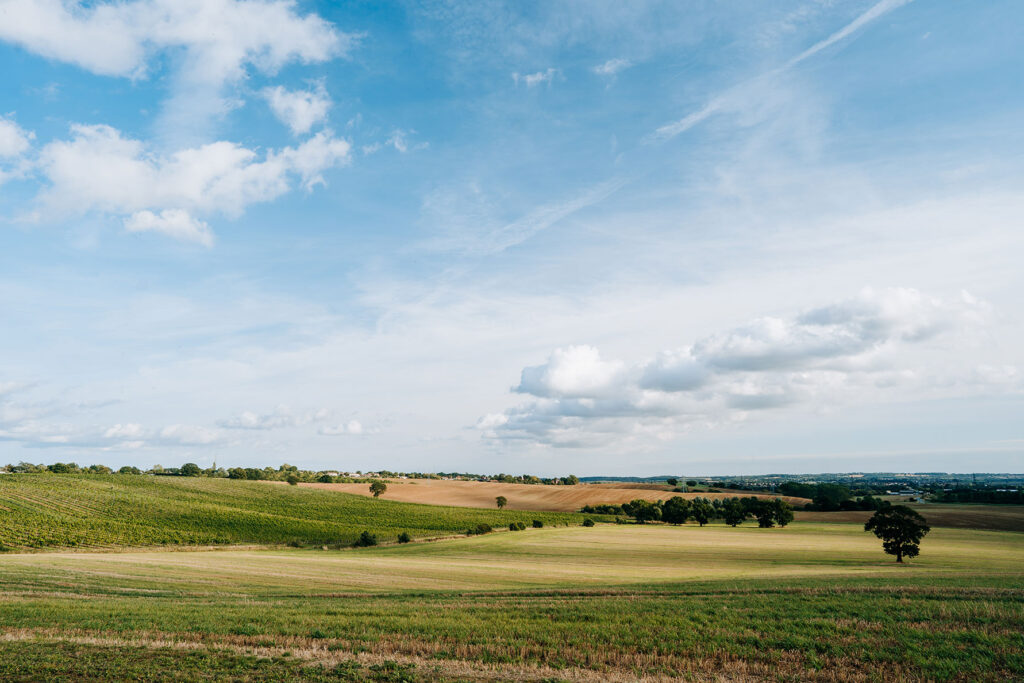 Enjoy the panoramic view of our rolling green hills whilst exercising your dog