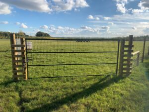 Secure gate at Dog Dynasty