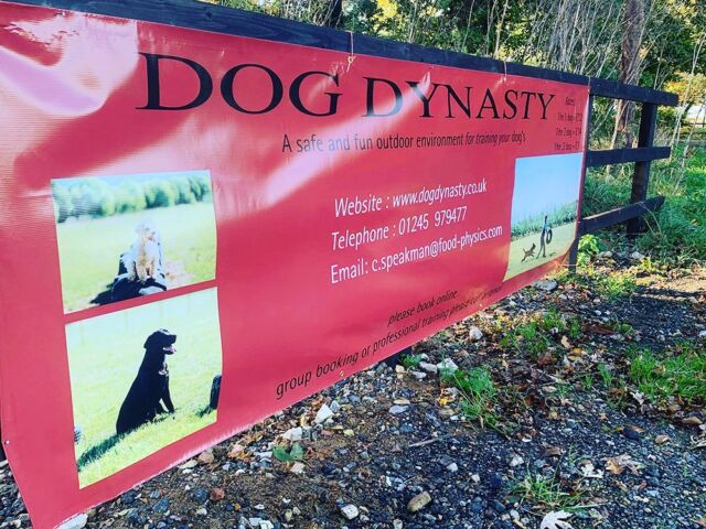 Look out for @dog_dynastyuk banners dotted around the county. We look forward to getting to know all the local doggos, please come and visit us for an active afternoon. 

#dogs #essex #leisure #dogs #labrador #shotoniphone #poodle