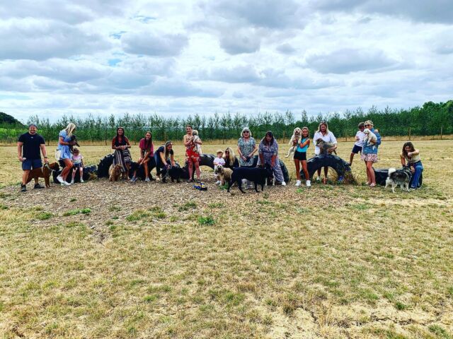 A lovely doggy birthday party 🎂🎂for buddy @summerlilly22 over the weekend, a great time had by all. For all  enquiries visit our website.  #dog #vineyard #birthday #treats #shotoniphone #labrador #poodles #springerspaniel #boxer